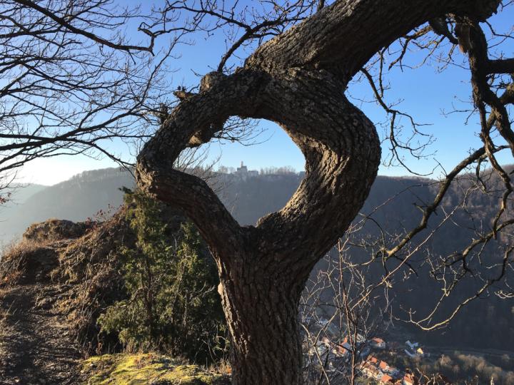 1I IMG_4374 ©Jochen Strohmeier