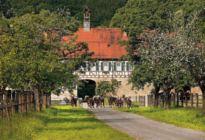 Güterstein Archiv BOISELLE_ 2014