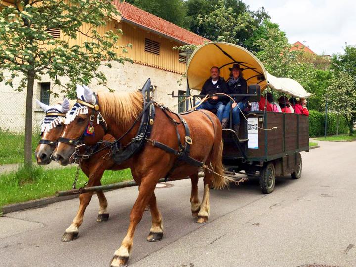 IMG-20160606-WA0002-korrektur