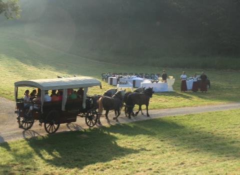 Fahrten auf einen Blick