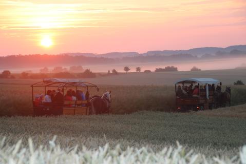 Kutschen, Sonnenuntergang, Rossnatour