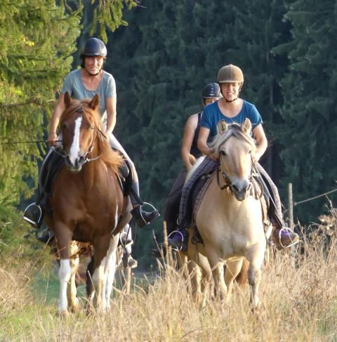Reitgruppe, Reitzeit
