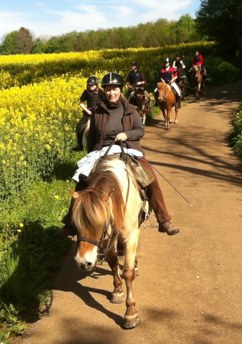 Wanderreiten auf der Schwäbischen Alb