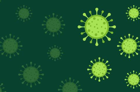 Wichtiges zum Coronavirus finden Sie hier