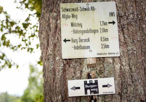 Wanderschild