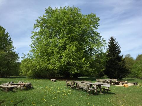 Wanderungen für die ganze Familie