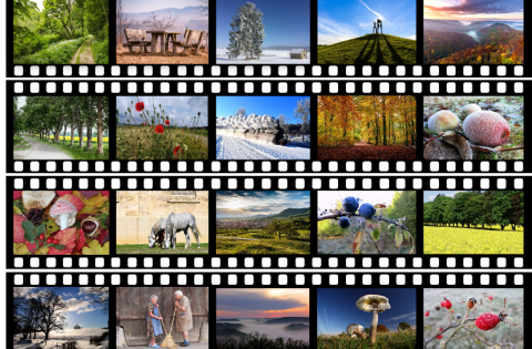 Fotowettbewerb Alb_Klick 3.0