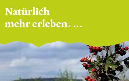 Heckenerlebnispfad_2